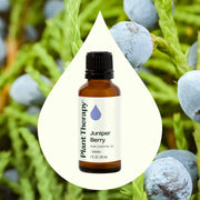 Plant Therapy Juniper Berry Essential Oil Essential Oil