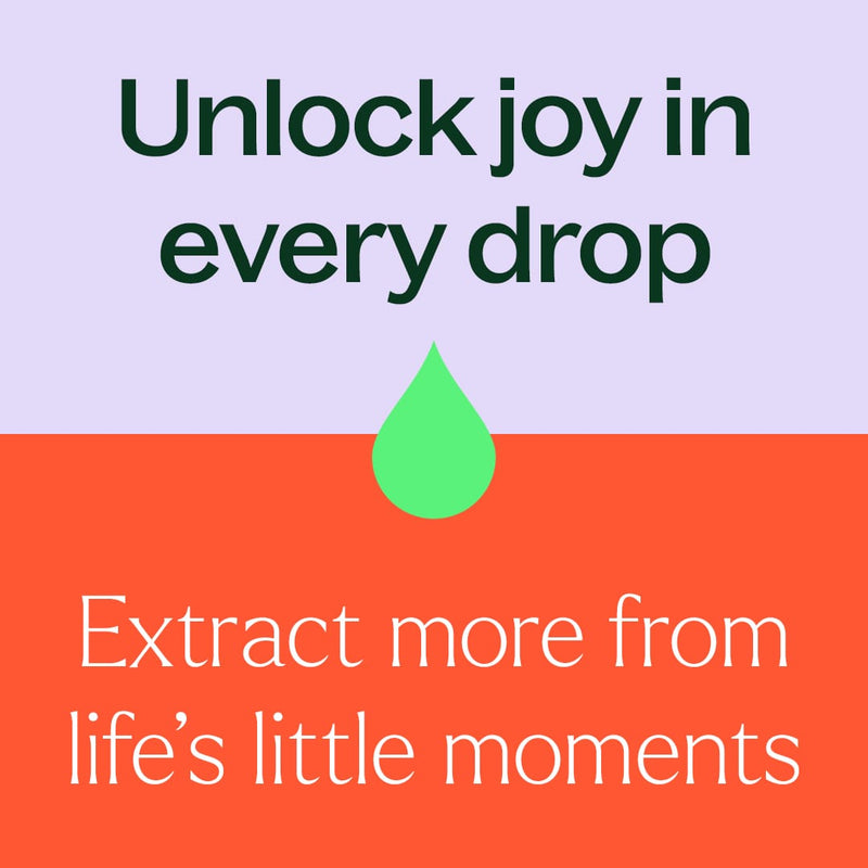 Plant Therapy Juniper Berry Essential Oil Essential Oil