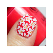 UberChic Beauty Just Beachy Stamping Plate