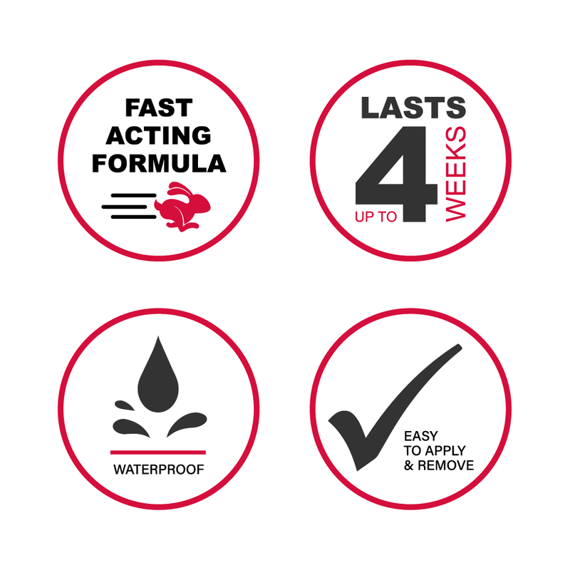 GodefroyBeauty JUST FOR BROWS | EYEBROW COLORING Eyebrow Tint