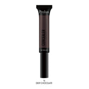 Prolux Cosmetics Instant Coverage Concealer concealer