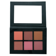 Prolux Cosmetics Blush Palette | Blush Colour Palette Blush