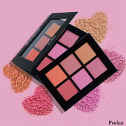 Prolux Cosmetics Blush Palette | Blush Colour Palette Blush