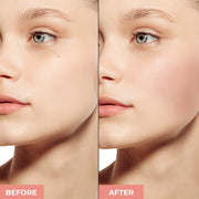 Prolux Cosmetics Blush Bronzer Duo | Bronze Makeup