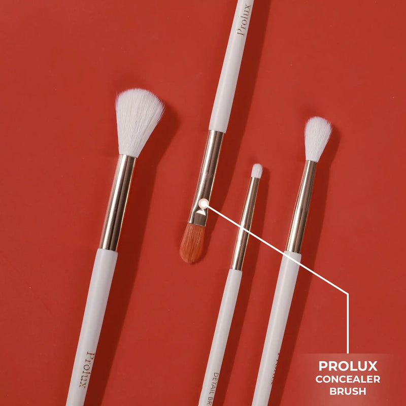Prolux Cosmetics Concealer Brush concealer brush
