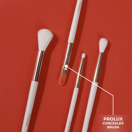 Prolux Cosmetics Concealer Brush concealer brush