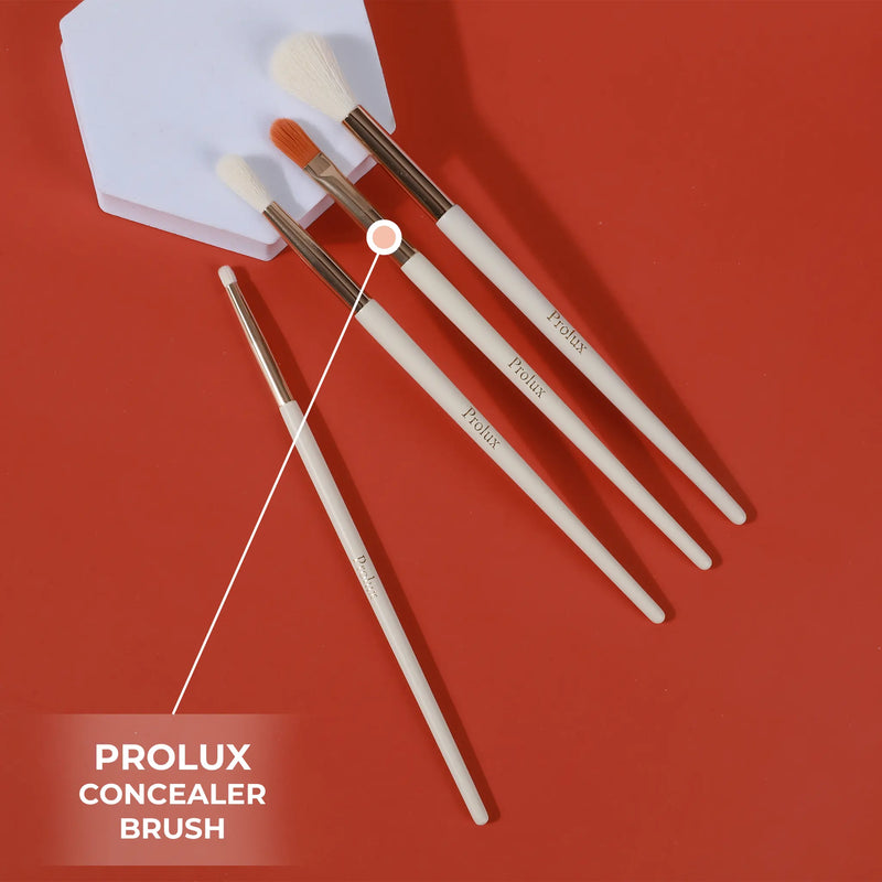 Prolux Cosmetics Concealer Brush concealer brush