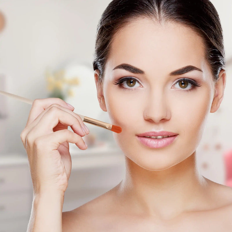 Prolux Cosmetics Concealer Brush concealer brush