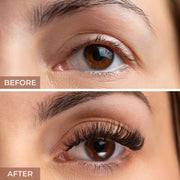 Prolux Cosmetics Zodiac Faux Mink Lashes Eyelashes Eyelashes