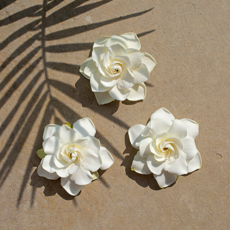 Ua Body | Hawaiian Skincare Kiele Gardenia Diffuser Diffusers