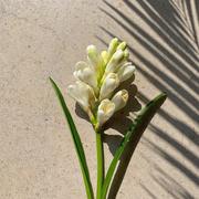 Ua Body | Hawaiian Skincare Kupaloke Tuberose Diffuser Diffusers