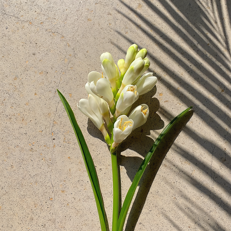 Ua Body | Hawaiian Skincare Kupaloke Tuberose Diffuser Diffusers