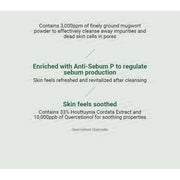 AsiaBeautyMall ANUA Heartleaf Quercetinol Pore Deep Cleansing Foam Face Cleanser