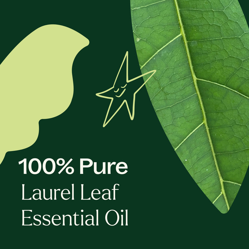 Plant Therapy Laurel Leaf Essential Oil Essential Oil