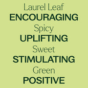 Plant Therapy Laurel Leaf Essential Oil Essential Oil