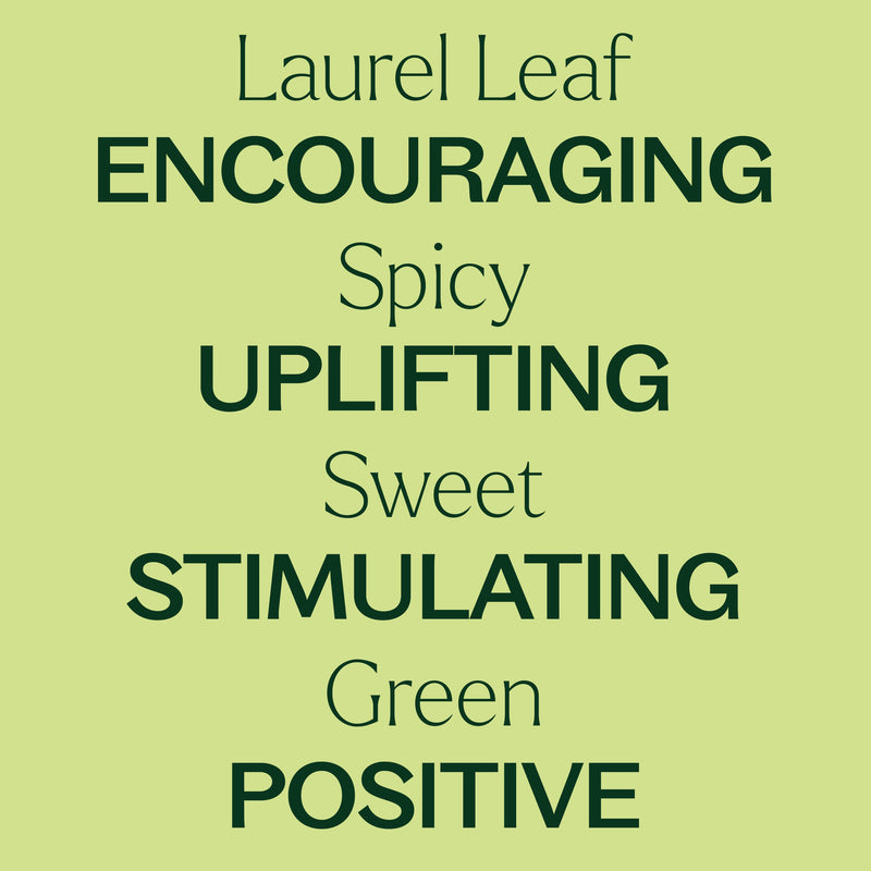 Plant Therapy Laurel Leaf Essential Oil Essential Oil