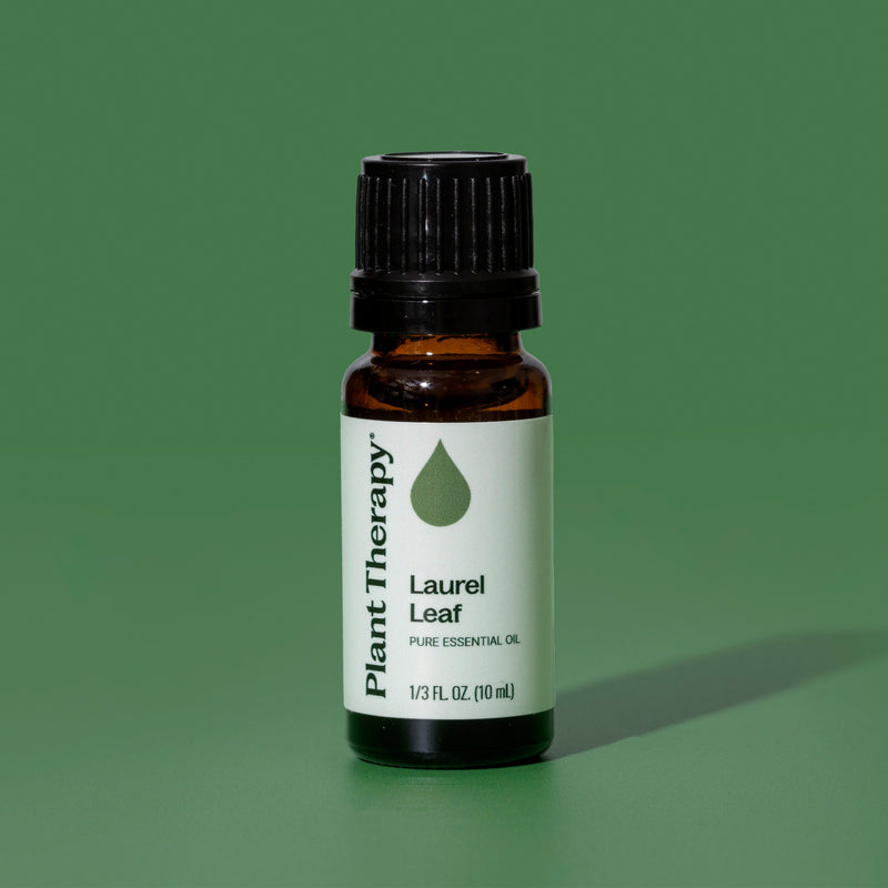 Plant Therapy Laurel Leaf Essential Oil Essential Oil