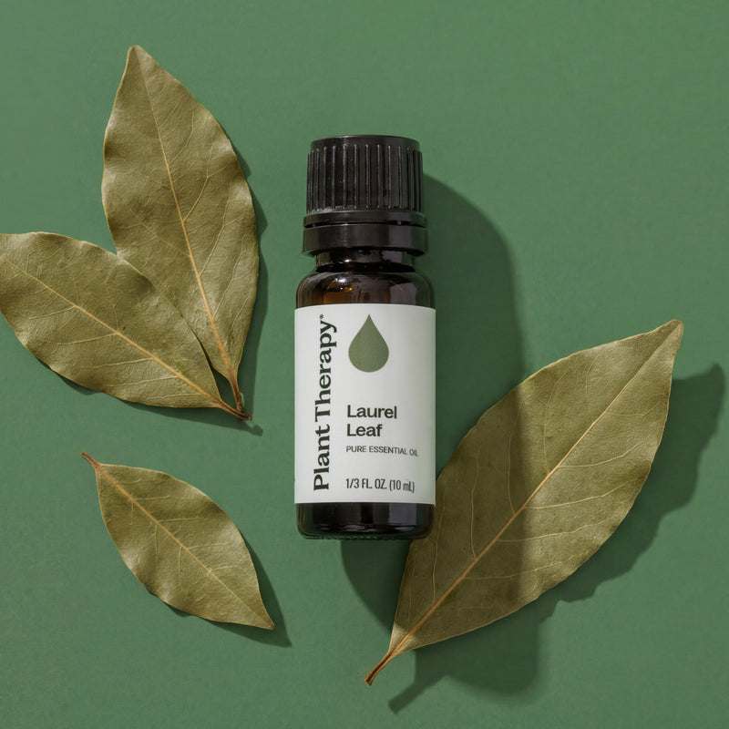 Plant Therapy Laurel Leaf Essential Oil Essential Oil