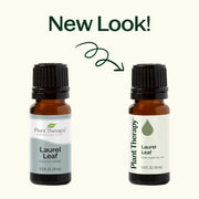 Plant Therapy Laurel Leaf Essential Oil Essential Oil