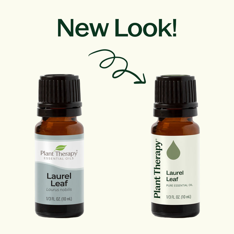 Plant Therapy Laurel Leaf Essential Oil Essential Oil