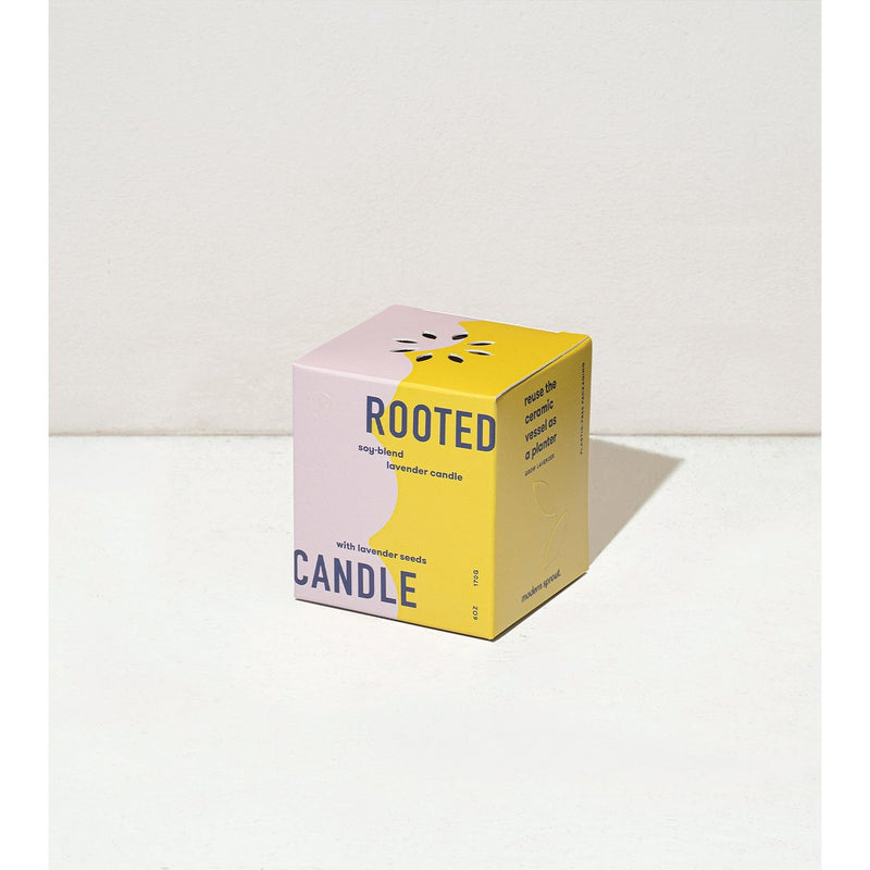 Modern Sprout Rooted Candles Candle Beige Rosemary & Cucumber 1pk,Thyme & Tonka Bean 1pk,Lavender & Cedarwood 1pk,Basil & Jasmine 1pk,Mixed 3pk
