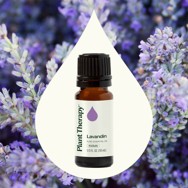 Plant Therapy Lavandin Essential Oil Essential Oil