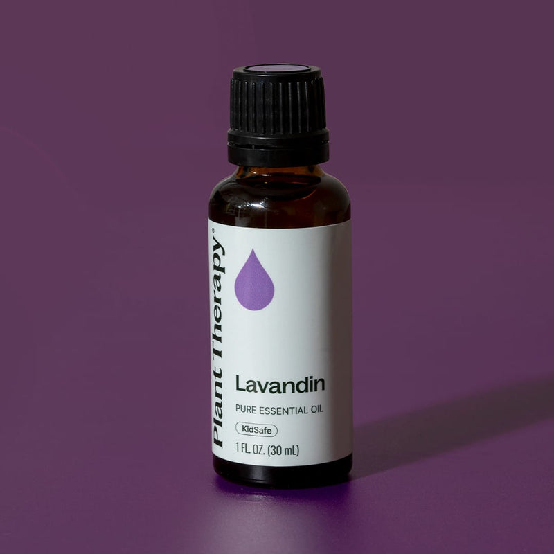 Plant Therapy Lavandin Essential Oil Essential Oil