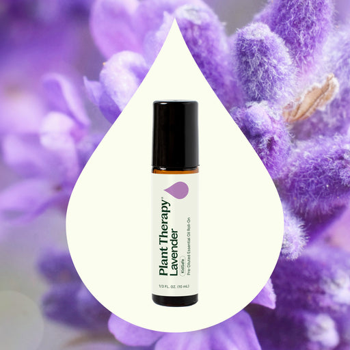Plant Therapy Lavender Essential Oil Pre-Diluted Roll-On Essential Oil