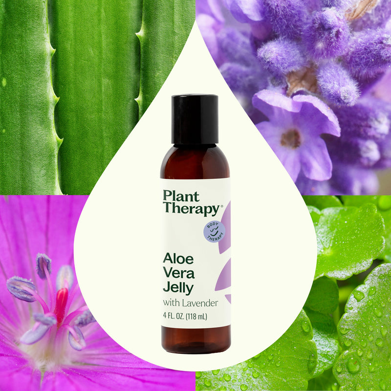 Plant Therapy Lavender Aloe Vera Jelly Body Care