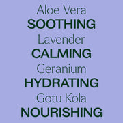 Plant Therapy Lavender Aloe Vera Jelly Body Care