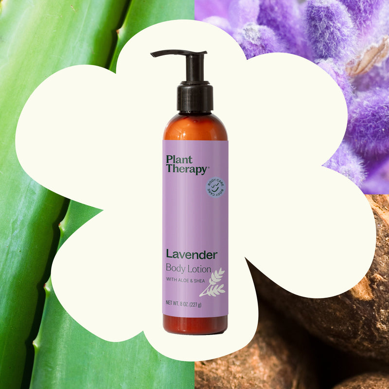 Plant Therapy Lavender Body Lotion with Aloe and Shea Body Care