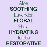 Plant Therapy Lavender Body Lotion with Aloe and Shea Body Care