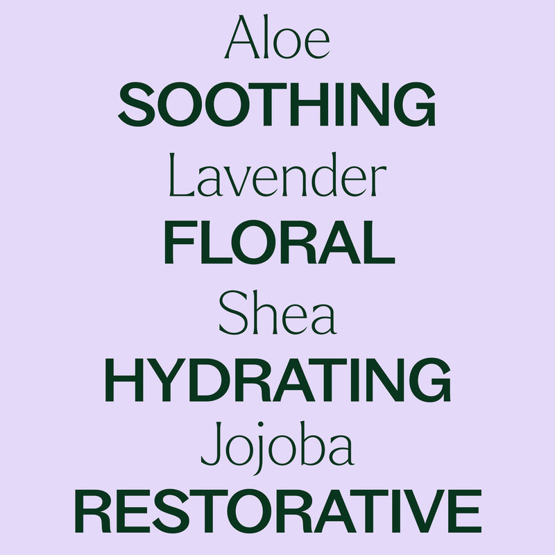 Plant Therapy Lavender Body Lotion with Aloe and Shea Body Care