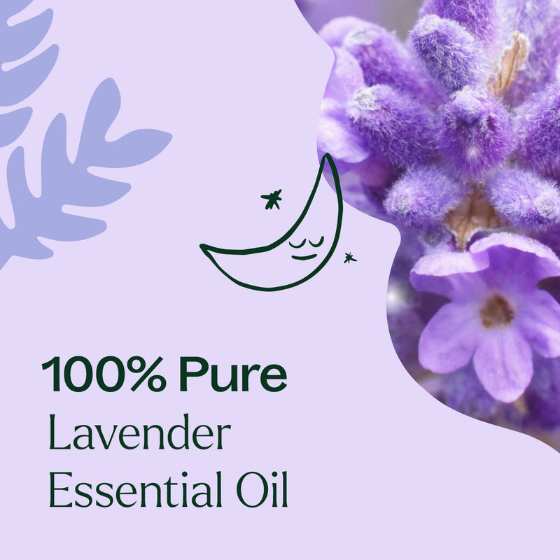 Plant Therapy Lavender Fine Essential Oil Essential Oil