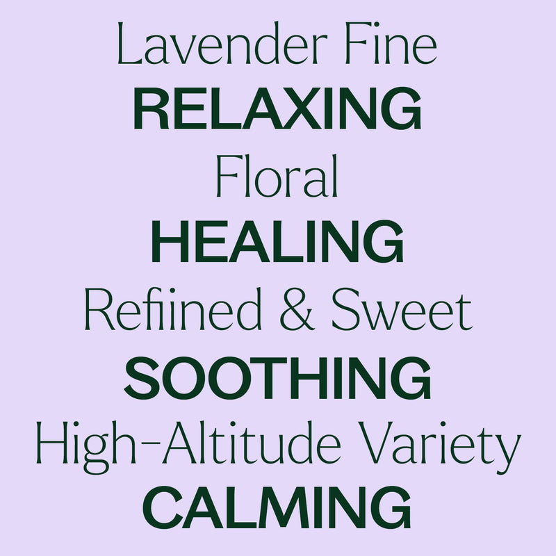 Plant Therapy Lavender Fine Essential Oil Essential Oil