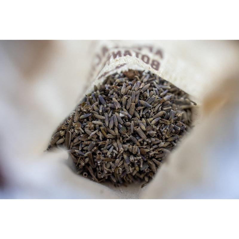 Appalachian Botanical Co. Lavender Sachet Aromatherapy