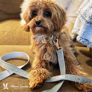 Warren London Fabric Dog Leash - Grey Leashes, Collars & Accessories