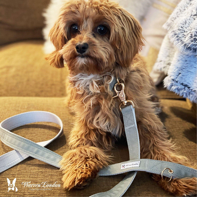 Warren London Fabric Dog Leash - Grey Leashes, Collars & Accessories