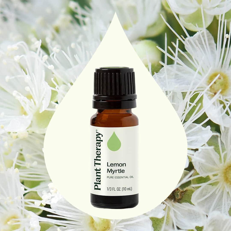 Plant Therapy Lemon Myrtle Essential Oil Essential Oil