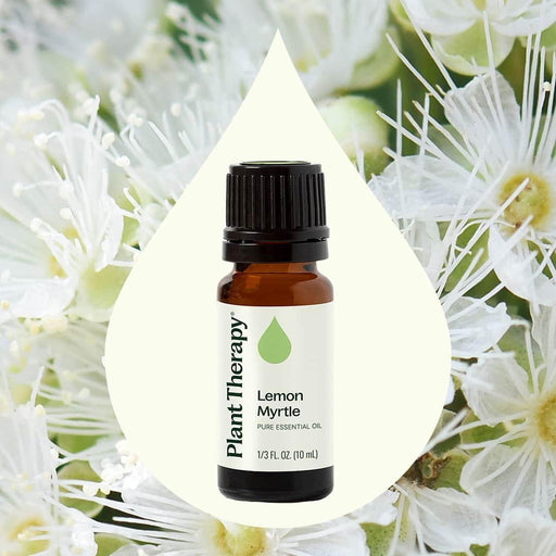 Plant Therapy Lemon Myrtle Essential Oil Essential Oil