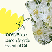 Plant Therapy Lemon Myrtle Essential Oil Essential Oil