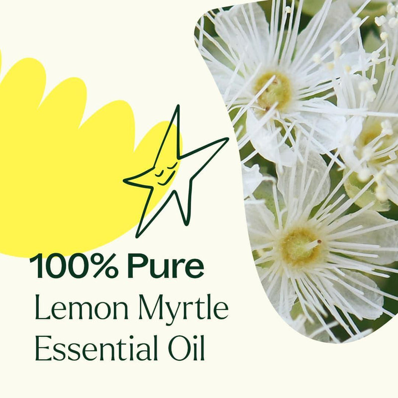 Plant Therapy Lemon Myrtle Essential Oil Essential Oil