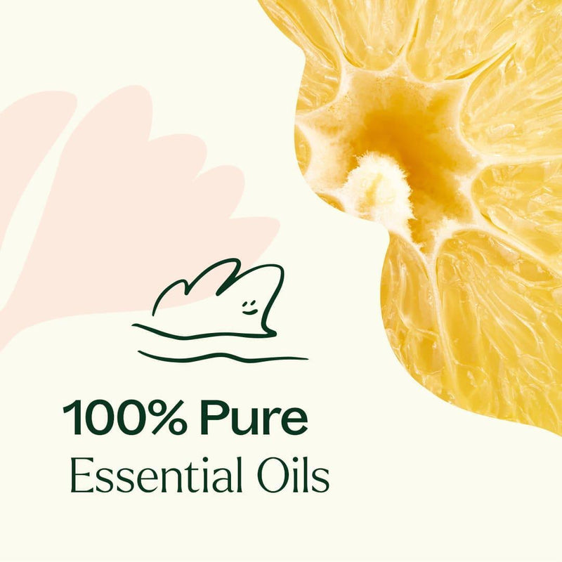 Plant Therapy Lemon Cupcake Essential Oil Blend Essential Oil