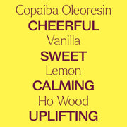 Plant Therapy Lemon Cupcake Essential Oil Blend Essential Oil