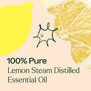 Plant Therapy Lemon Steam Distilled Essential Oil Essential Oil
