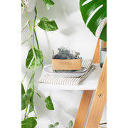 Butter Me Up Organics Organic Lemongrass Mint with Activated Charcoal and French Green Clay / VEGAN SOAP / PALM FREE Soap