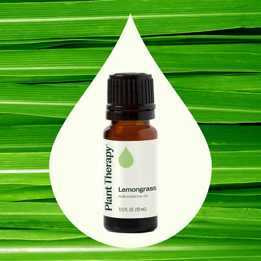 Plant Therapy Lemongrass Essential Oil Essential Oil