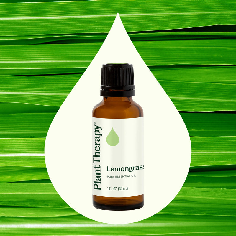 Plant Therapy Lemongrass Essential Oil Essential Oil