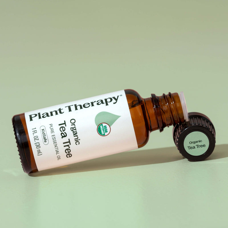 Plant Therapy Organic Tea Tree Essential Oil Essential Oil