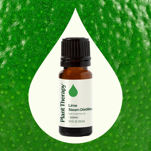 Plant Therapy Lime Steam Distilled Essential Oil Essential Oil